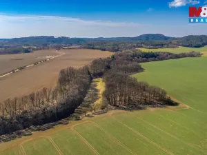 Prodej louky, Tachov, 12761 m2