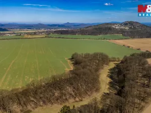 Prodej louky, Tachov, 12761 m2