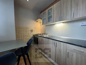 Pronájem bytu 1+1, Brno, Vídeňská, 43 m2