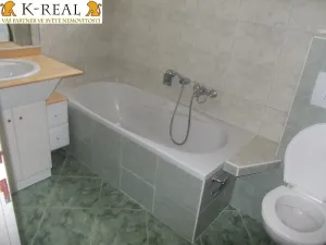 Pronájem bytu, Želešice, 18 m2