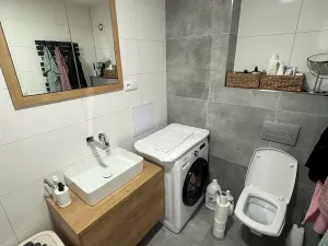 Pronájem bytu 3+kk, Frýdek-Místek, Maxe Švabinského, 65 m2