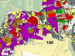 Dražba lesa, Vranová Lhota, 5323 m2