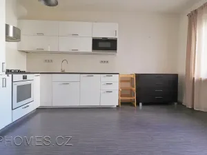 Pronájem bytu 2+1, Praha - Žižkov, Biskupcova, 80 m2