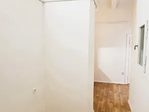 Pronájem bytu 2+1, Praha - Žižkov, Ambrožova, 55 m2