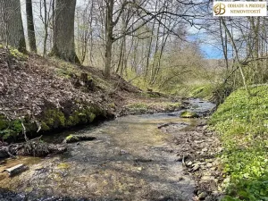 Prodej pozemku pro bydlení, Libina, 8112 m2