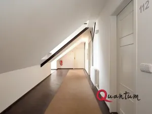 Pronájem bytu 1+kk, Praha - Smíchov, U Pernikářky, 23 m2