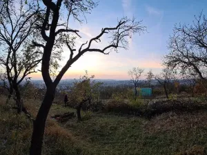 Prodej zahrady, Brno - Židenice, 1227 m2