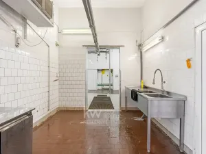 Prodej obchodního prostoru, Milíkov, 420 m2