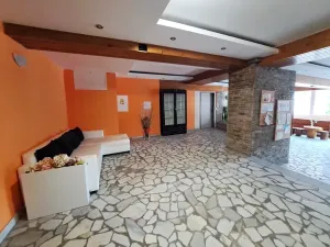 Prodej bytu 2+kk, Všemina, 46 m2