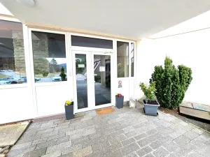 Prodej bytu 2+kk, Všemina, 46 m2