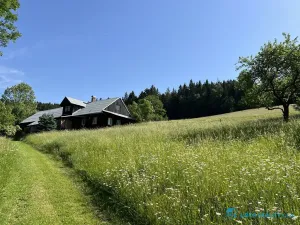 Prodej lesa, Krásná, 21810 m2