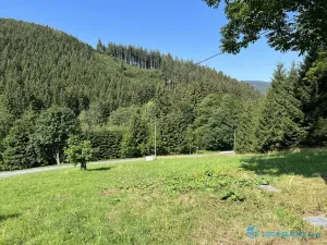 Prodej lesa, Krásná, 21810 m2