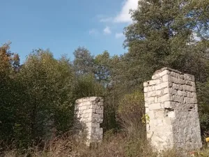 Prodej pozemku pro bydlení, Adršpach - Dolní Adršpach, 9122 m2