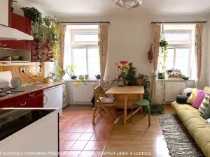 Pronájem bytu 1+1, Brno, Gorkého, 40 m2