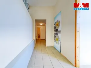 Pronájem obchodního prostoru, Písek, Čechova, 53 m2
