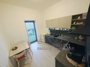 Pronájem bytu 1+1, České Budějovice, Fráni Šrámka, 40 m2