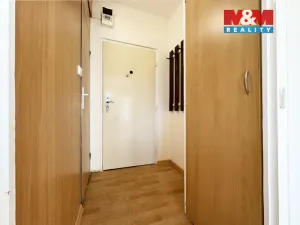 Pronájem bytu 1+kk, Horní Slavkov, Dlouhá, 20 m2