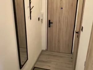 Pronájem bytu 1+kk, Olomouc - Hodolany, Nálevkova, 30 m2