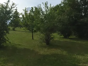 Prodej pozemku pro bydlení, Kyškovice, 1702 m2