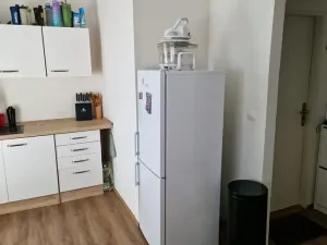 Prodej bytu 1+kk, Olomouc, Erenburgova, 40 m2