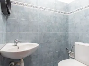 Prodej rodinného domu, Bučovice, Smetanova, 196 m2