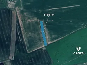Prodej pole, Sedliště, 3759 m2