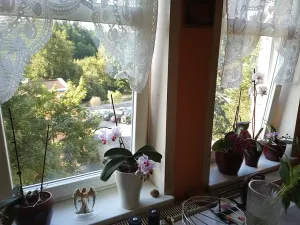 Prodej komerční nemovitosti, Jablonec nad Nisou, Vítězslava Nezvala, 680 m2