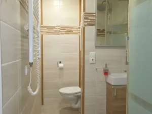 Pronájem bytu 1+kk, Ústí nad Labem - Krásné Březno, Neštěmická, 32 m2