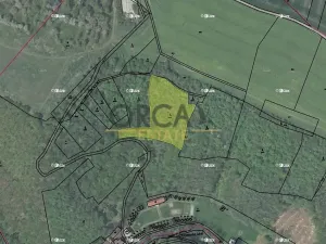 Prodej lesa, Malé Žernoseky, 7464 m2