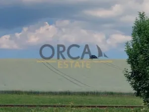 Prodej louky, Dolní Branná, 9362 m2