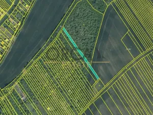 Prodej pole, Březolupy, 17736 m2