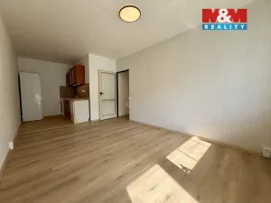 Pronájem bytu 2+kk, Praha - Braník, Novodvorská, 40 m2