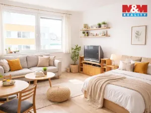 Pronájem bytu 1+kk, Strakonice - Strakonice I, Mlýnská, 26 m2