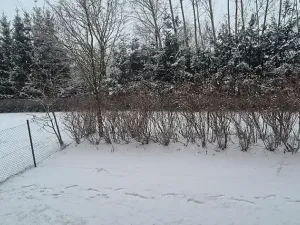 Prodej bytu 1+1, Turnov, Přepeřská, 35 m2