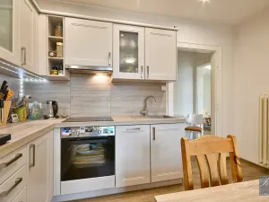 Prodej bytu 2+kk, Ústí nad Labem, Zámečnická, 43 m2