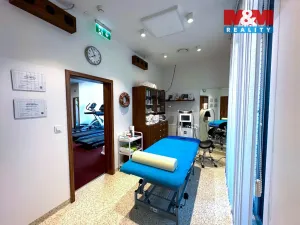 Prodej obchodního prostoru, Praha - Smíchov, Kobrova, 276 m2