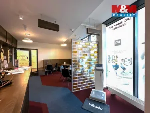 Prodej obchodního prostoru, Praha - Smíchov, Kobrova, 276 m2