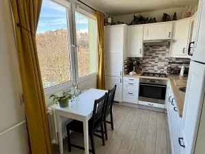 Pronájem bytu 3+1, Žatec, Ostrov, 64 m2