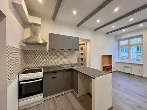 Pronájem bytu 2+1, Karlovy Vary, K. Čapka, 37 m2