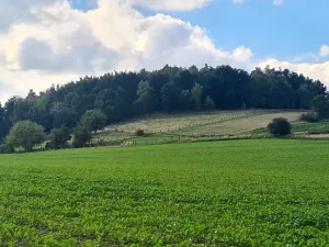 Prodej pozemku pro bydlení, Bystřice, 1245 m2