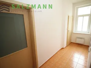 Pronájem bytu 2+kk, Plzeň, Úslavská, 38 m2
