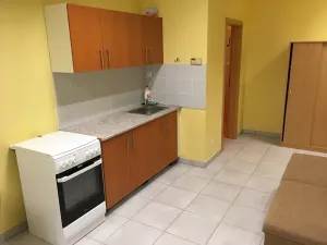 Pronájem bytu 1+kk, Písek, Pražská, 31 m2