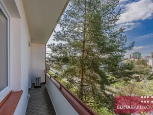 Pronájem bytu 1+1, Olomouc, Polívkova, 36 m2