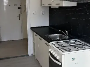 Pronájem bytu 1+1, Ostrava, Vincence Makovského, 38 m2