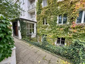 Prodej bytu 2+1, Praha - Vinohrady, Kouřimská, 46 m2