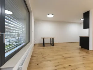 Pronájem bytu 1+kk, Praha - Nusle, Muzikova, 50 m2