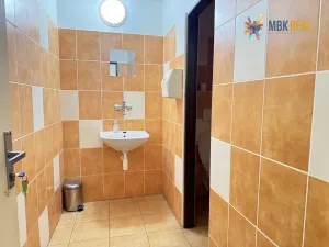 Pronájem kanceláře, Brno, Starobrněnská, 45 m2