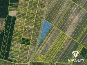 Prodej podílu pole, Hlohovec, 5055 m2