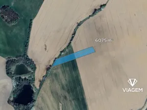 Prodej podílu pole, Jistebnice, 843 m2