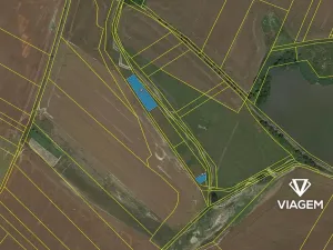 Prodej pole, Malé Výkleky, 1521 m2